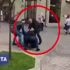 Başpehlivan sokak ortasında öldürüldü
