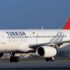 THY, evcil olmayan hayvanların Türkiye'ye girişine izin vermeyecek