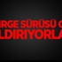 Çekirge Sürüsü Gibi Saldırıyorlar