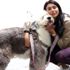 Ebru Şancı: Bir köpeğimin fön ve yıkama bedeli 150 ...