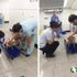 Hamile sandıkları köpek erkek çıktı Hamile sandıkları köpek erkek çıktı