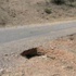 Tunceli'de Hain Tuzak Bozuldu