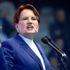 Meral Akşener Twitter'dan paylaştı