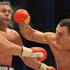 Klitschko kendisine "Kız gibisin" diyen Pulev'i hastanelik etti