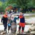 Batı Karadeniz'deki sel felaketinde yardımlar AFAD koordinasyonunda yapılacak