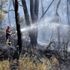 Bodrum'da korkutan orman yangını
