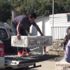 Şırnak ta kınalı keklikler doğaya salındı