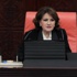 Meral Akşener, milletvekillerine veda etti