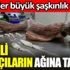 ﻿İzmirli balıkçıların ağına takıldı