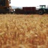 FAO: Küresel gıda fiyatları 6 yılın düşük düzeyine geriledi FAO: Küresel gıda fiyatları 6 yılın düşük düzeyine geriledi