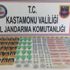 Kastamonu'da kaçak hap operasyonu
