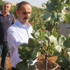 Fıstıkta son 10 yılın en yüksek rekoltesi bekleniyor!