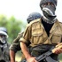 Bingöl’de 2 PKK’lı teslim oldu