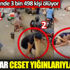 Sokaklar ceset yığınlarıyla doldu. Günde 3 bin 498 kişi ölüyor Sokaklar ceset yığınlarıyla doldu. Günde 3 bin 498 kişi ölüyor