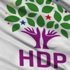 HDP'li milletvekili adayı tutuklandı