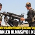 'Eğer Türkler olmasaydı, Kürtler...'