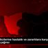 Fındık üreticilerine hastalık ve zararlılara karşı ...