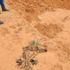 Mayınlar, toplu mezarlar, infazlar: Libya'da Hafter'in çekildiği bölgelerdeki ihlalleri