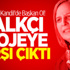 Kışanak Sur Projesine Karşı Çıktı