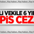 HDP'li vekile 6 yıl 3 ay hapis cezası HDP'li vekile 6 yıl 3 ay hapis cezası
