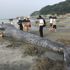 Ölü dev mavi balina Japonya sahillerine vurdu Ölü dev mavi balina Japonya sahillerine vurdu
