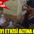﻿Kara mantar hastalığı Mısır'a da sıçradı