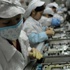 Çin'de çakma iPhone fabrikası kapatıldı