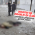 Ukrayna'da insanlık da öldü Ukrayna'da insanlık da öldü