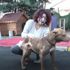 Madde bağımlıları tarafından yakılan pitbull yaşama ...