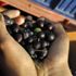 (Özel) Zeytin yağında doğru bildiğimiz yanlışlar (Özel) Zeytin yağında doğru bildiğimiz yanlışlar