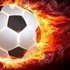 EURO 2016'da skandal iddia! EURO 2016'da skandal iddia!