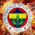 Fenerbahçe, Hatem Ben Arfa'yı bekliyor