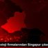 Türk teknoloji firmalarından Singapur çıkarması