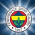 Fenerbahçe forvette nokta transfer yapmak için kolları sıvadı Fenerbahçe forvette nokta transfer yapmak için kolları sıvadı