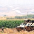Kod adı Şehit Yalçın
