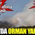 ﻿İzmir Foça'daki yangına müdahale devam ediyor
