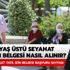 65 yaş üstü seyahat izin belgesi nasıl ve nereden alınır? 65 yaş üstü seyahat izin belgesi e-devlet başvuru sayfası 65 yaş üstü seyahat izin belgesi nasıl ve nereden alınır? 65 yaş üstü seyahat izin belgesi e-devlet başvuru sayfası