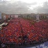 AK Parti Ankara mitingi
