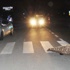 Otomobilin çarptığı yaya öldü