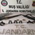 Muş’ta terör operasyonu: 13 gözaltı