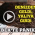 Bebek'te domuz paniği! Yalının bahçesine girdi...