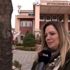 (Özel) Çınar ağaçları kanser bulaşma riskine karşı ...
