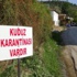 İki şehirde kuduz paniği !