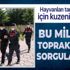 Hayvanları tarlasına girdiği için kuzenini öldüren katil tutuklandı Hayvanları tarlasına girdiği için kuzenini öldüren katil tutuklandı