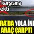 ﻿Ankara'da yola inen ayıya araç çarptı
