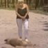 Son dakika: Ankara’da köpek katliamı! Caniler zehirli etle katletti! Yiyen kuşlar da can verdi |Video