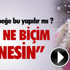 Balıkesir'de iki kişi vurulmuş halde bulundu