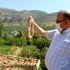 Mersin de incir altın yılını yaşıyor Mersin de incir altın yılını yaşıyor