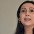 HDP'li başkanların Türk bayrağı rahatsızlığı