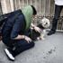 Tahran'da köpek yasağı!